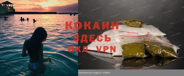 прущие грибы Рославль