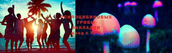 крисы Россошь