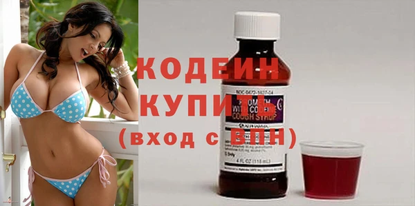 прущие грибы Рославль