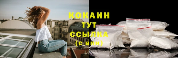 ECSTASY Видное