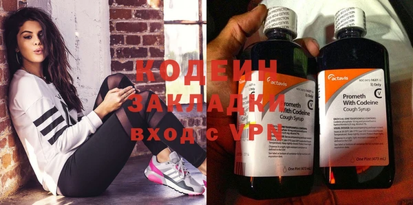 прущие грибы Рославль