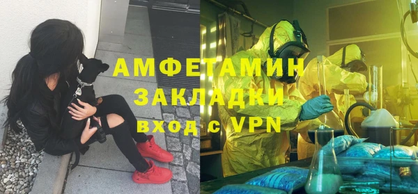 крисы Россошь