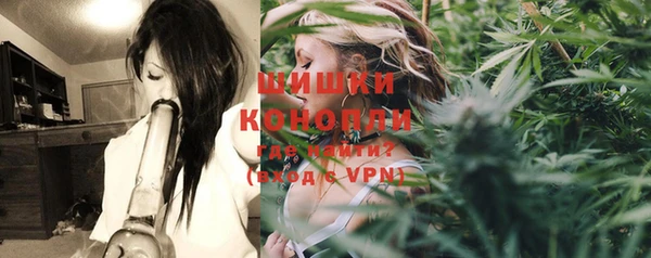 прущие грибы Рославль