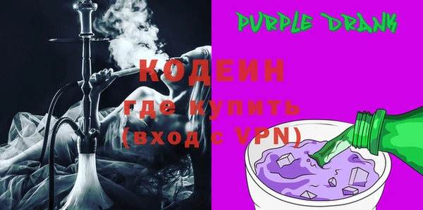 прущие грибы Рославль