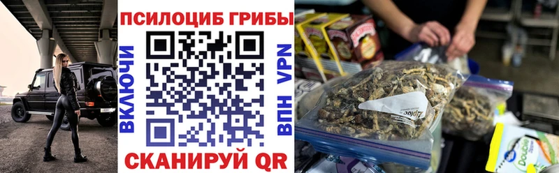 Галлюциногенные грибы прущие грибы  где купить   Спас-Клепики 